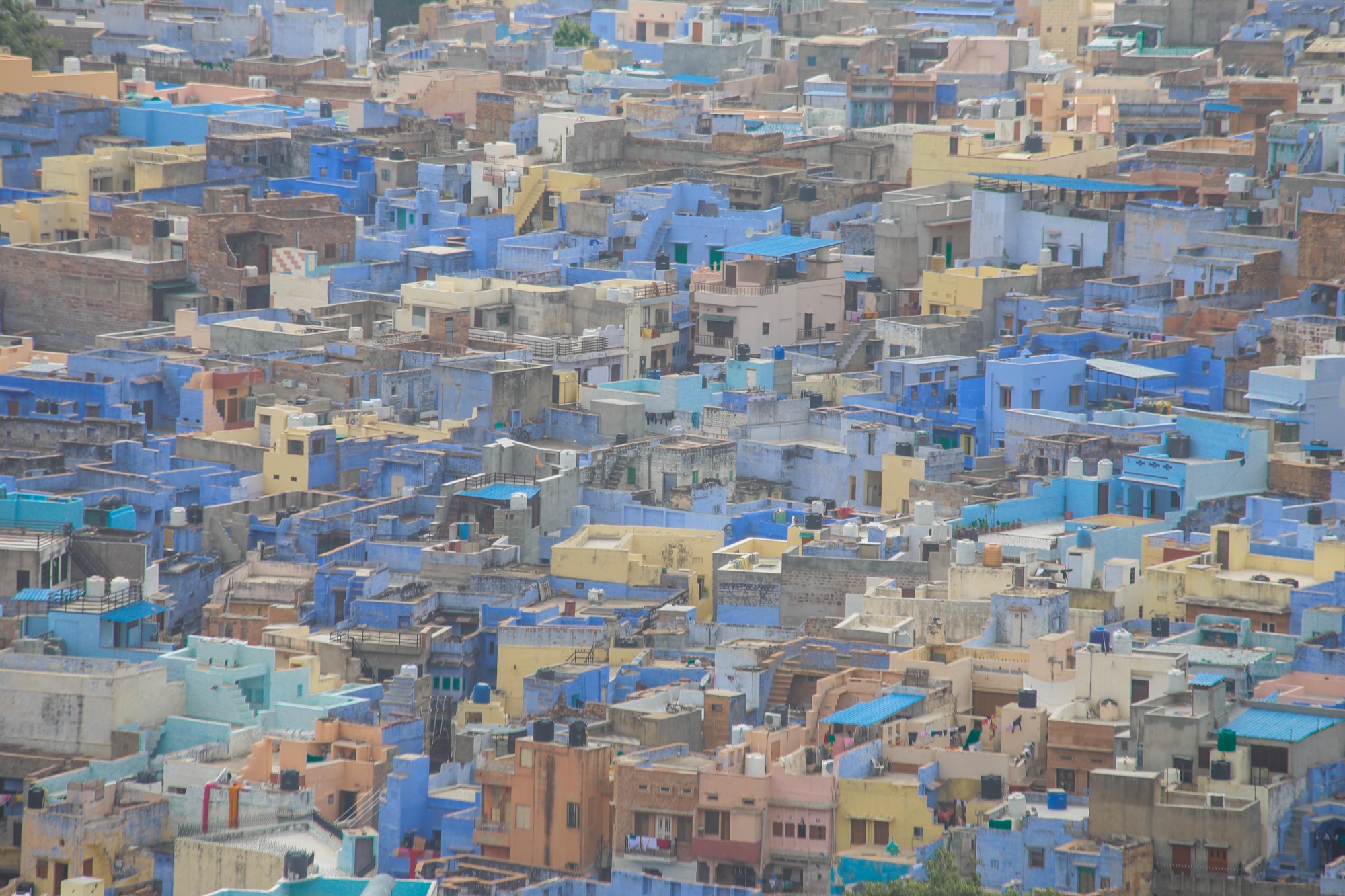 The blue houses of Jodhpur's old city packed below the fort