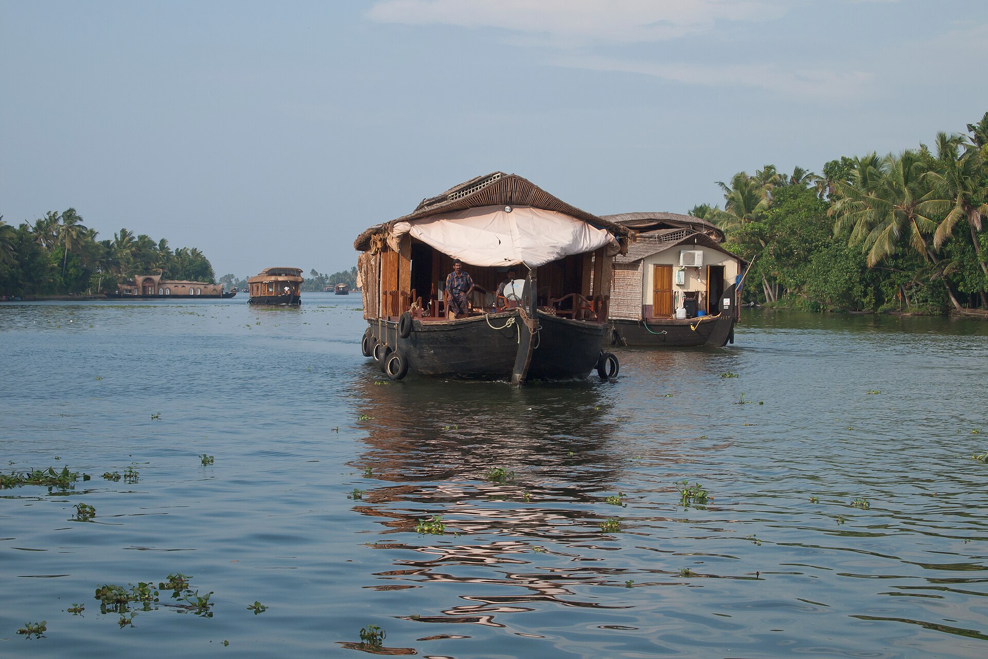 Traditional houseboats on the palm-fringed Kerala backwaters