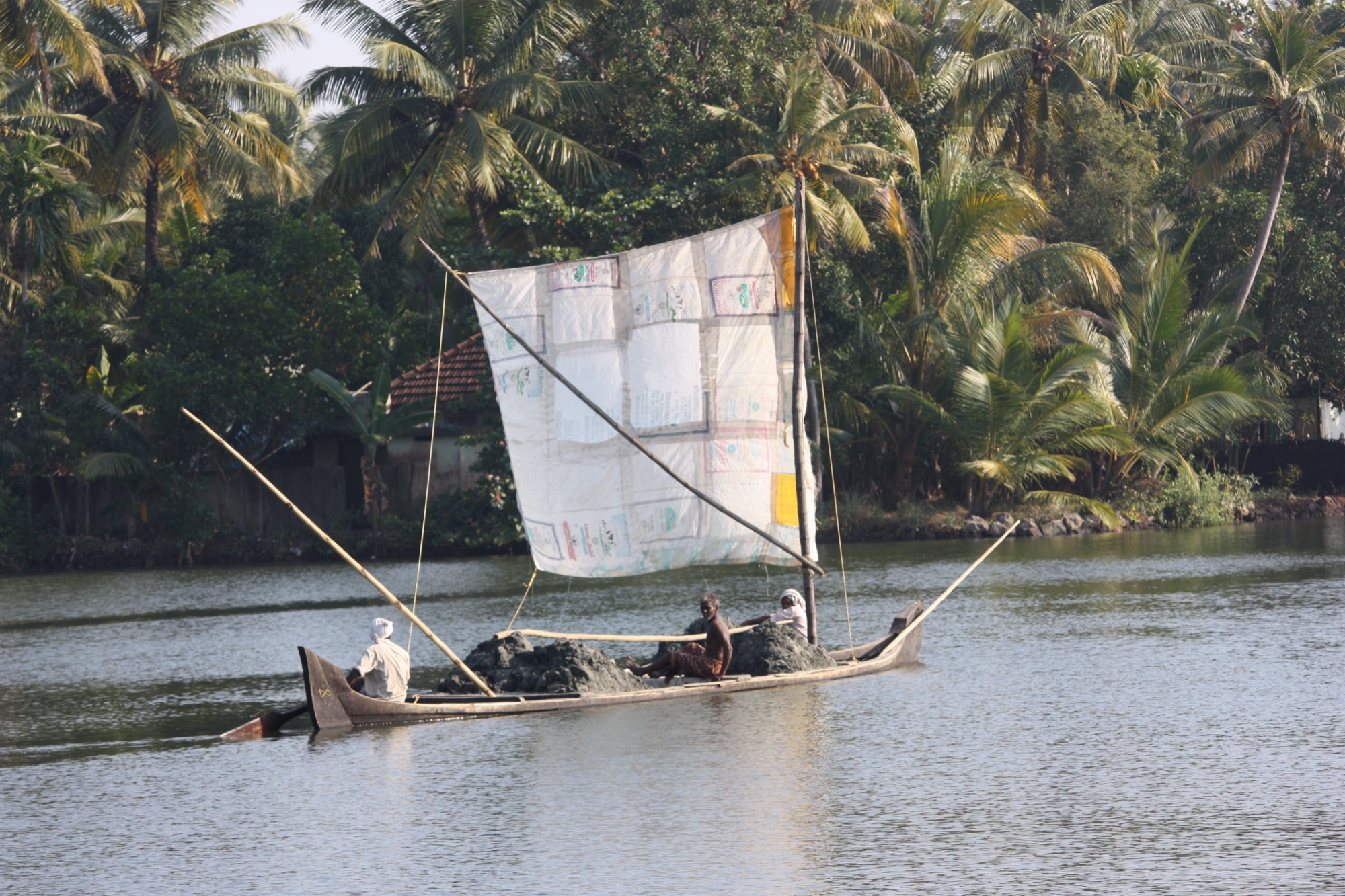 A sailed cargo barge working the Kerala backwaters beneath the palms