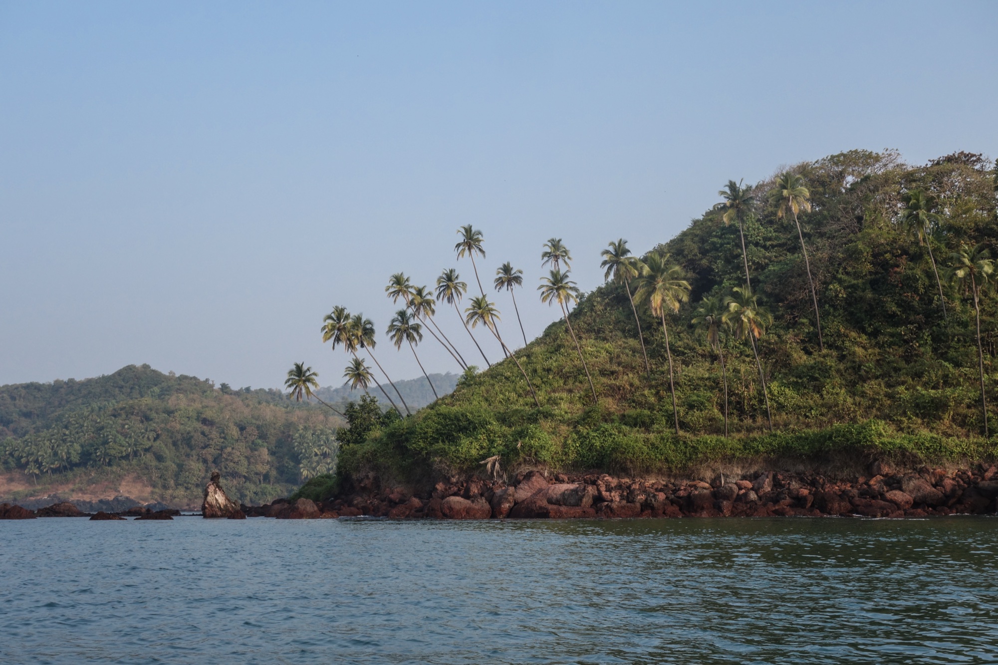 The laterite cliffs and palms above Cola Bay, south Goa