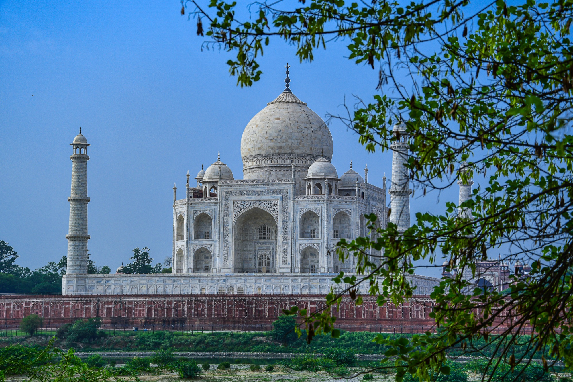 The Taj Mahal seen from Mehtab Bagh across the Yamuna, framed by foliage
