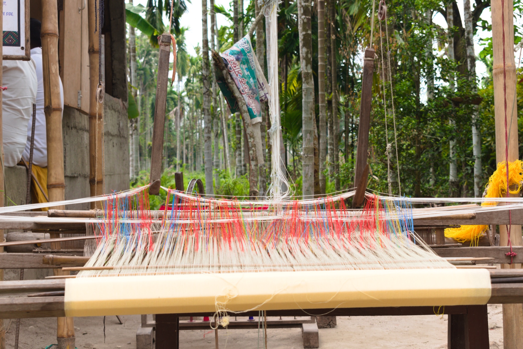A handloom strung with coloured warp threads, Nameri, Assam