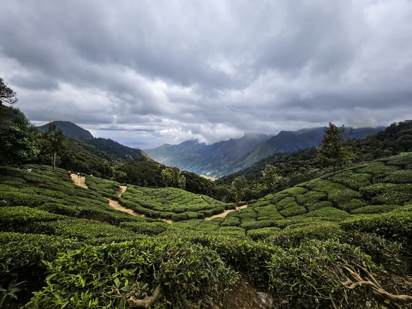 Munnar — Kerala