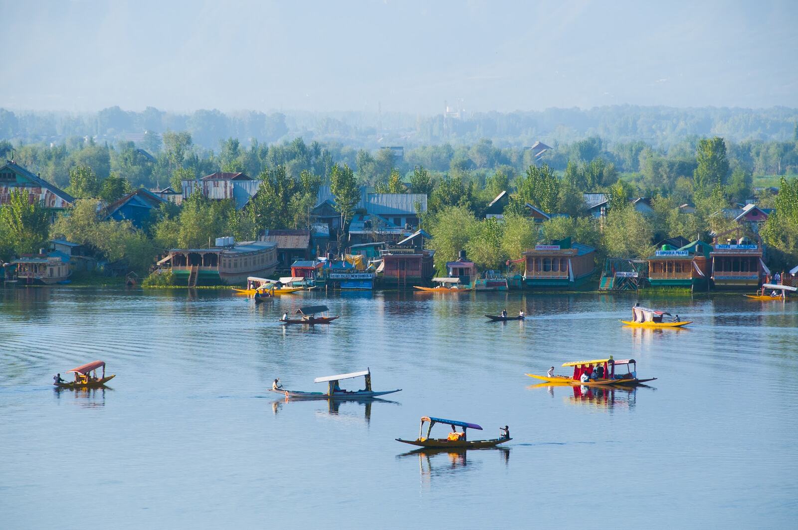Shikaras on Dal Lake seen from above