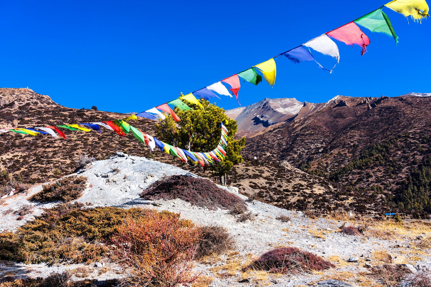 The Steve Jobs Way — a private journey inspired by a famous India route